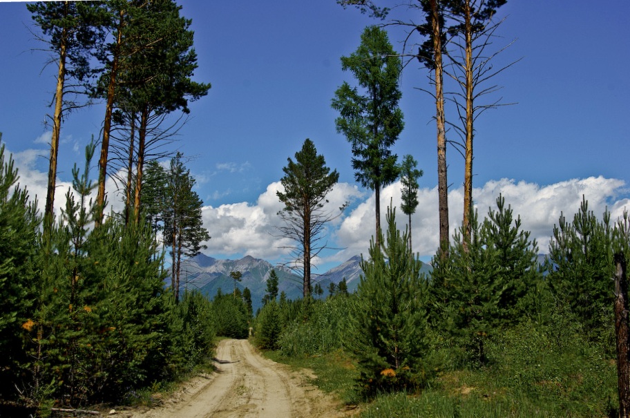 ���� �������� ������ � ����