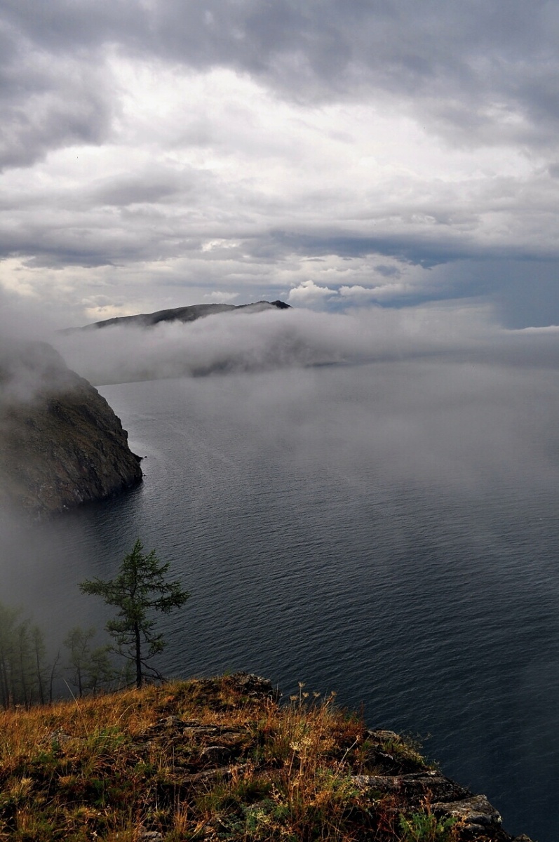 � ������