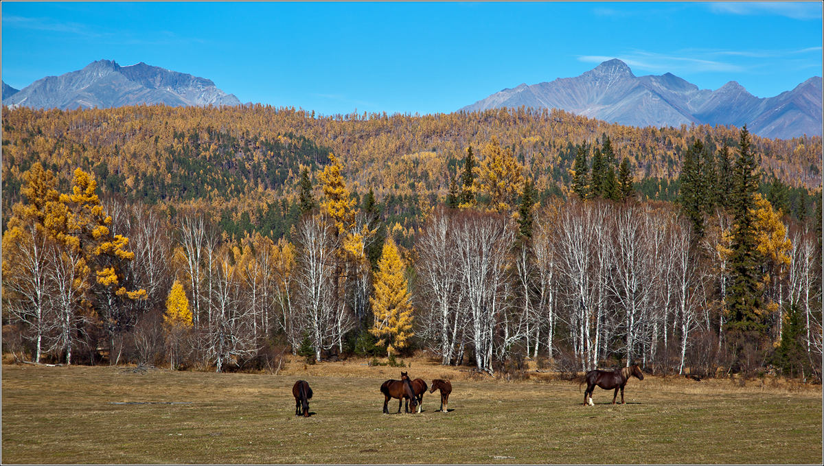  �� ������ (3)