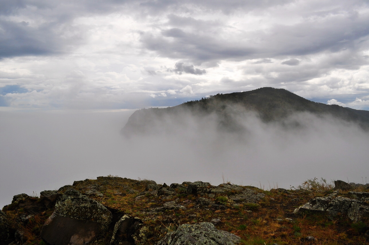 � ������ (2)