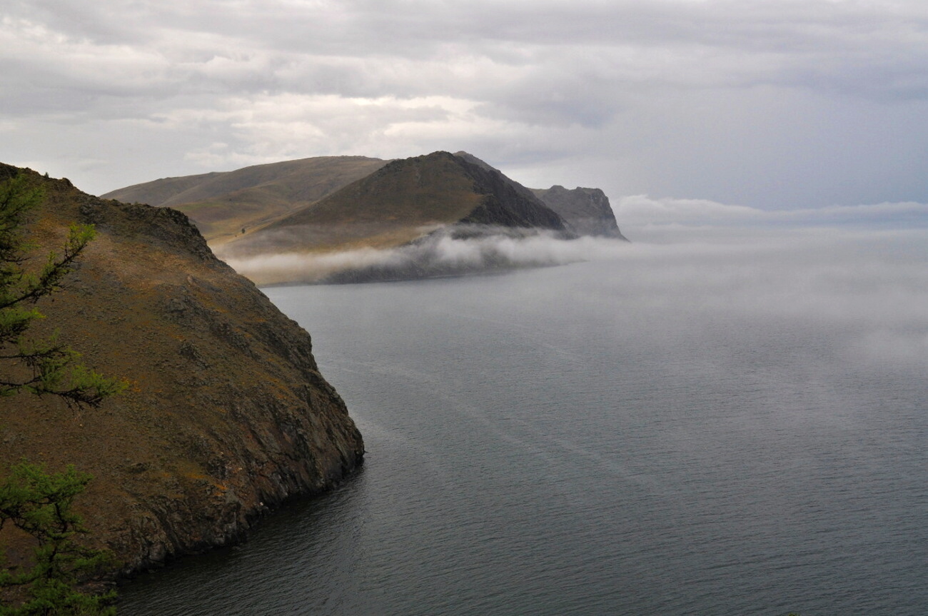 � ������ (3)