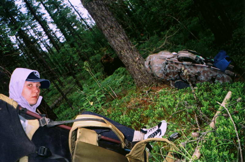 ������������� ���� �� �������