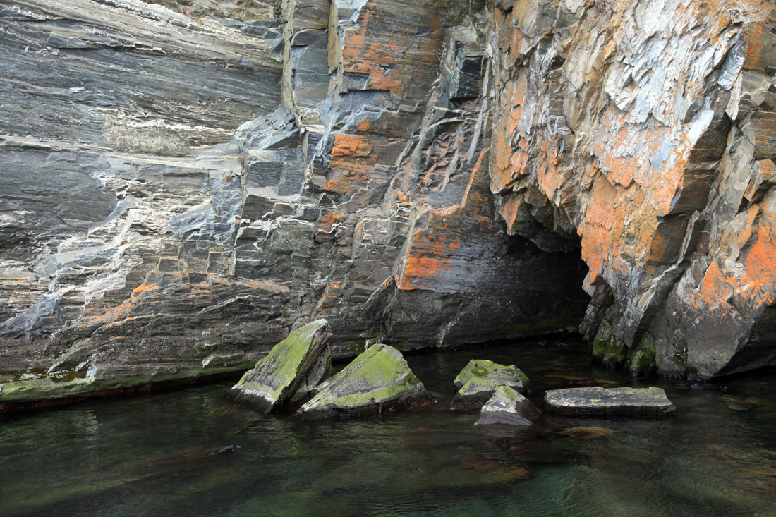 �������-����