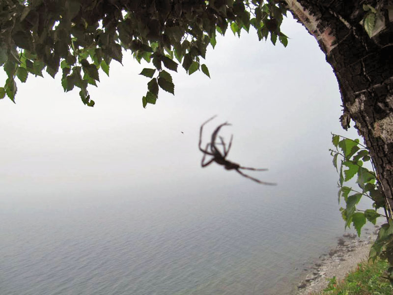 ����-�������