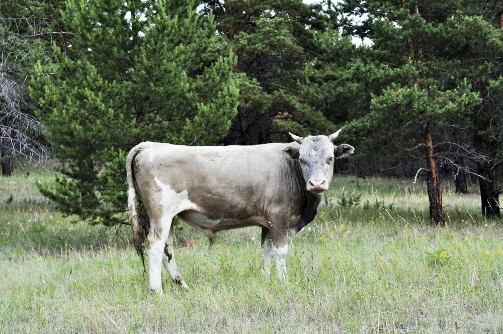 �������� � �� �������������....:))