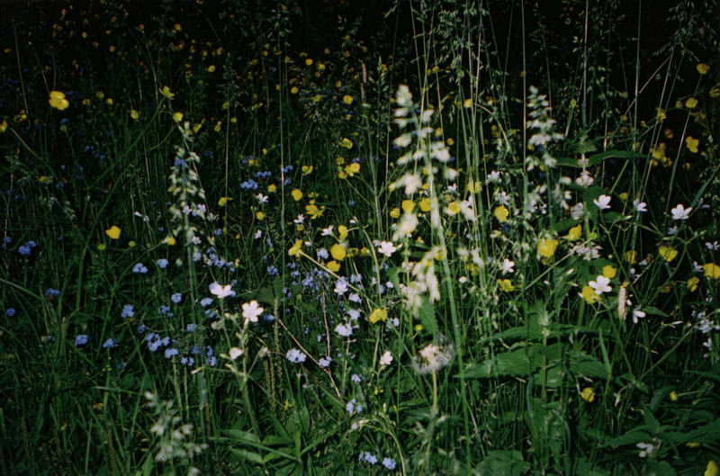 ������-��������