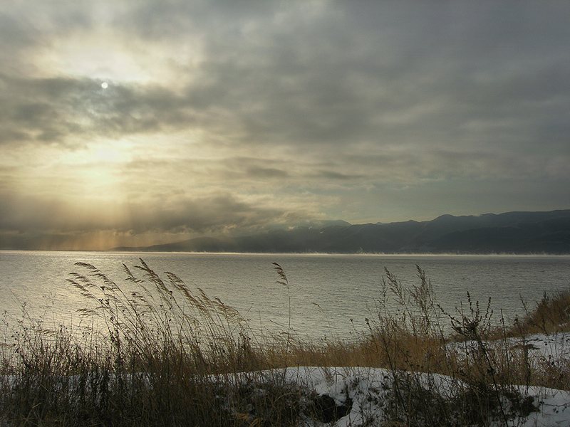 ������ ��������