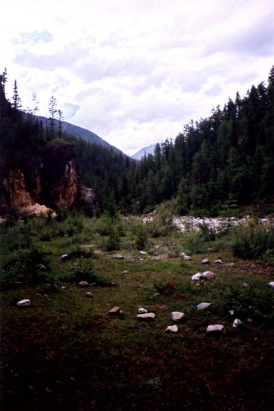 �����������  �������� �� ���� ����-��� ������� �������