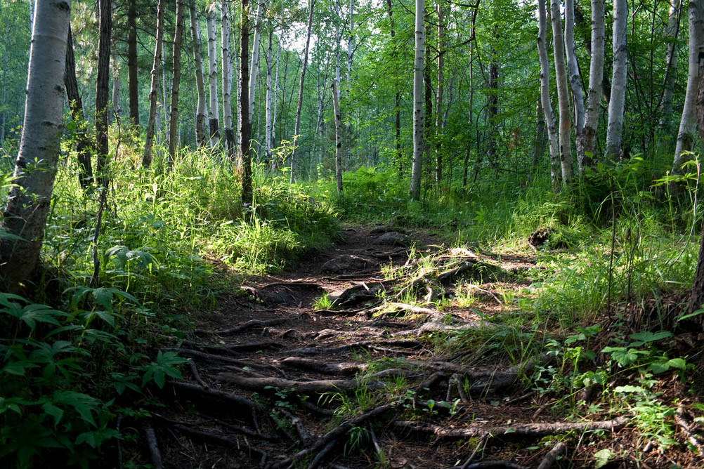 ������ ��������