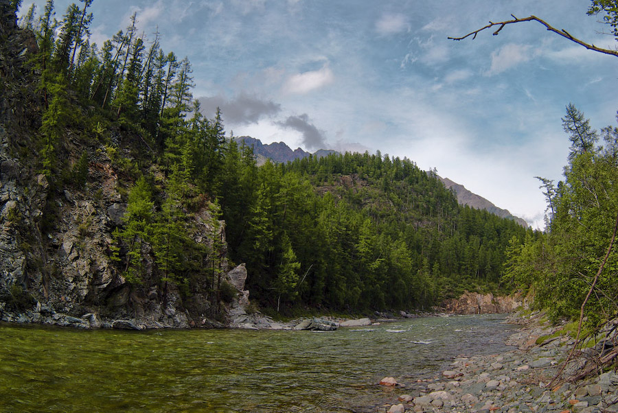 �� ������ �� �������