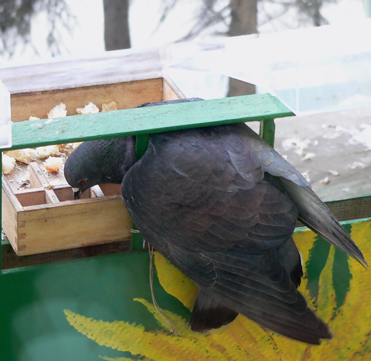 �������� ���� ���������� ���� � ������������������ 