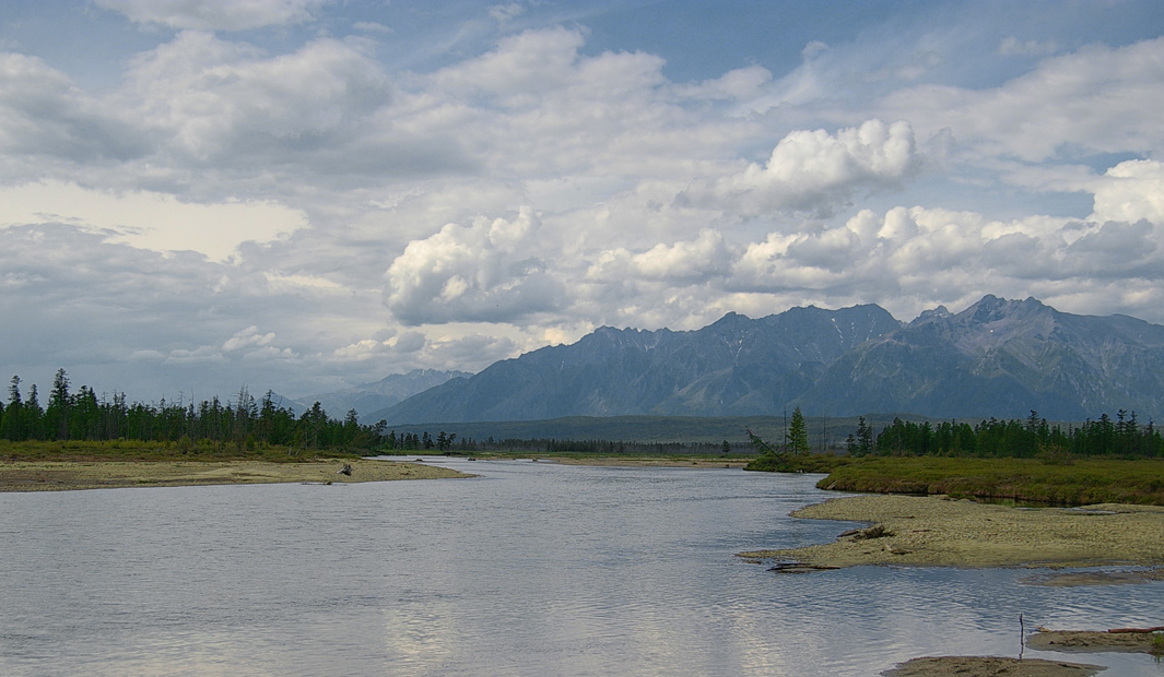 ������ ��������