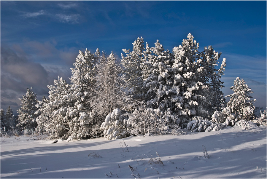 ���������� ����