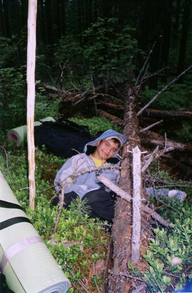 �������� ������ �� �������