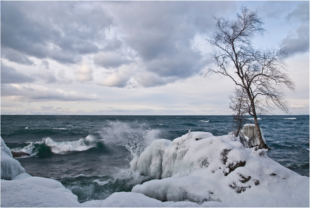 ����������� ������ �������