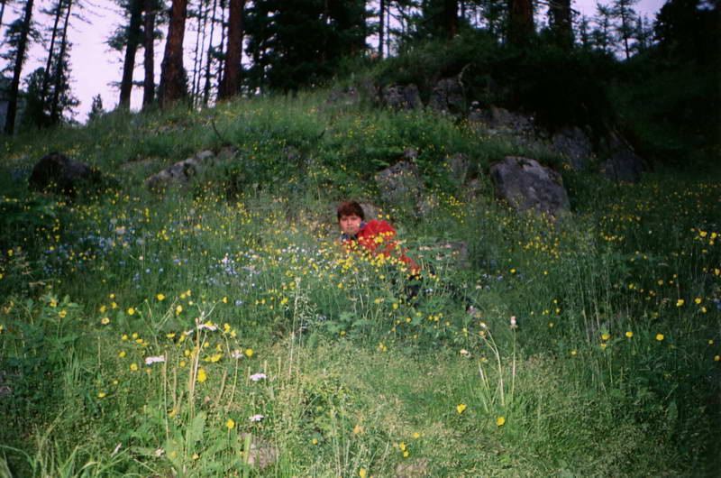 ��������� ����� ����� ������