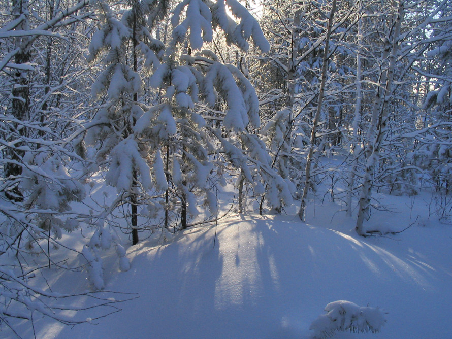 ����� ����, ����� �����...