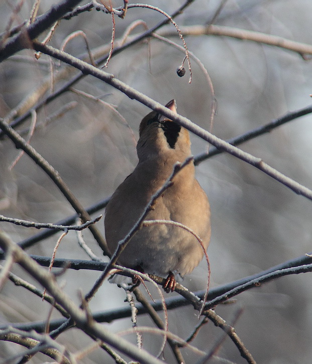 ���������...