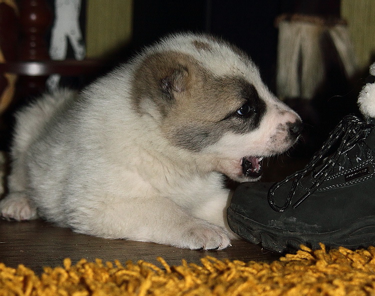 ��������������