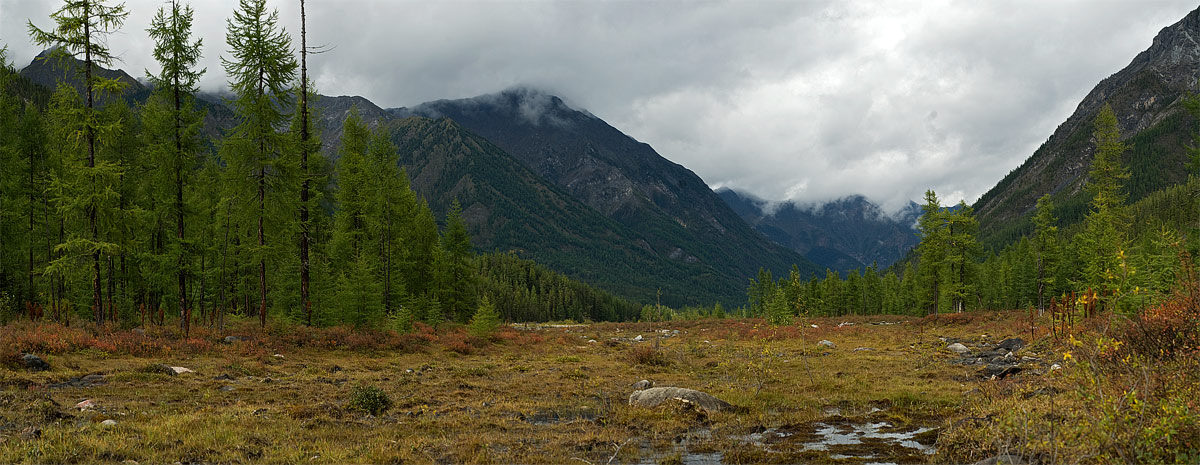 ���-�� �� ������