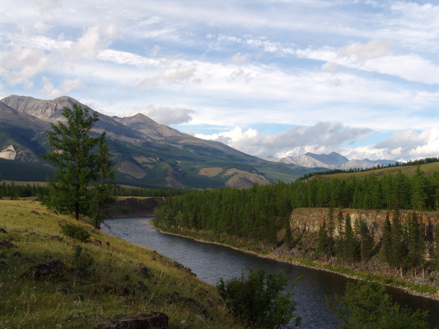 ��� ��������