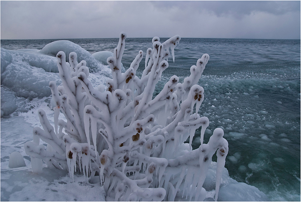 ������ �����