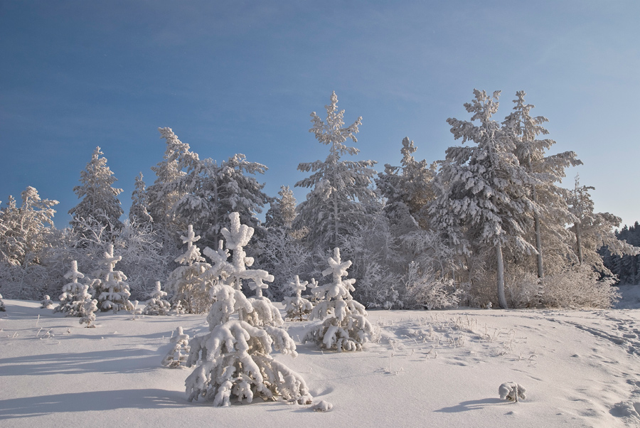 � ���� �������� ������!