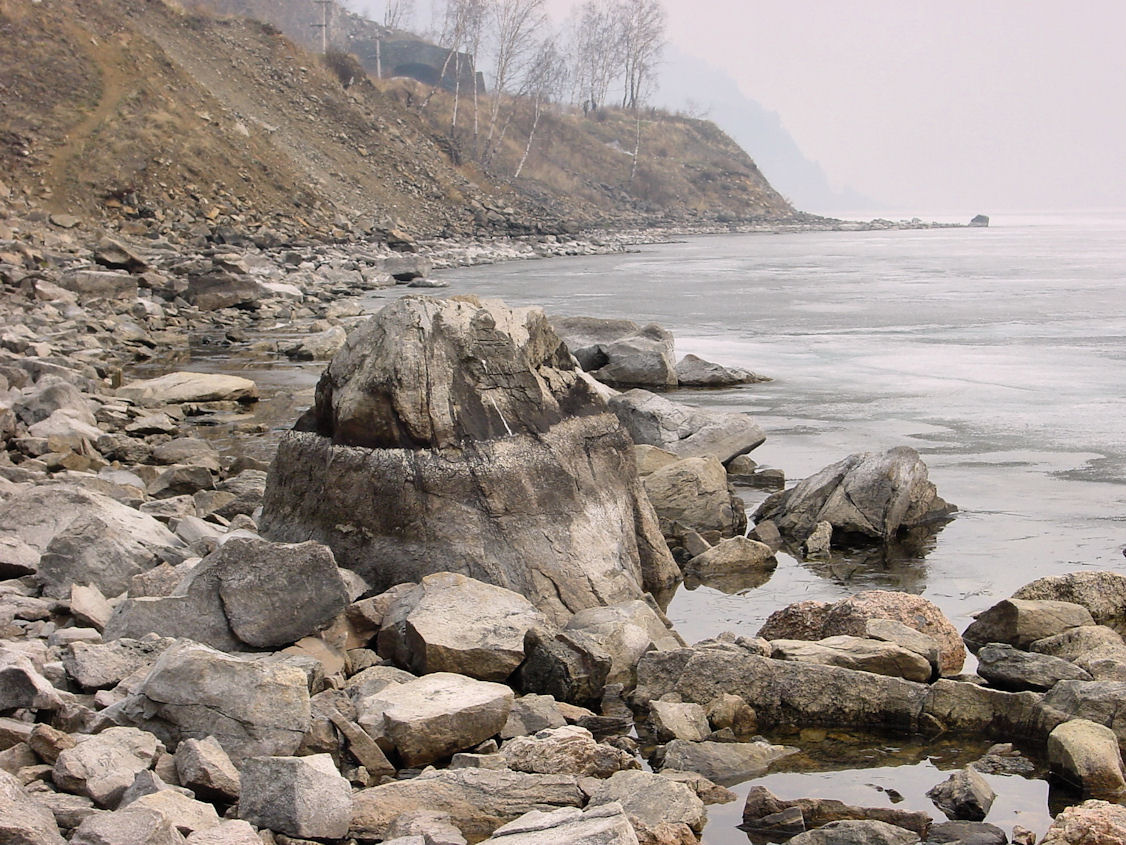    2003 