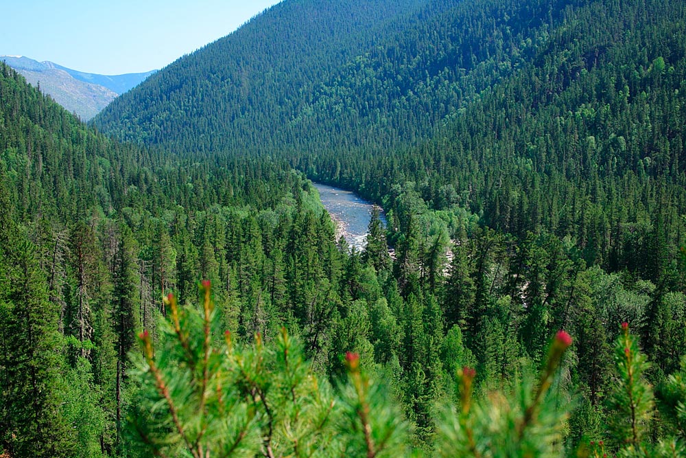 ����-�����