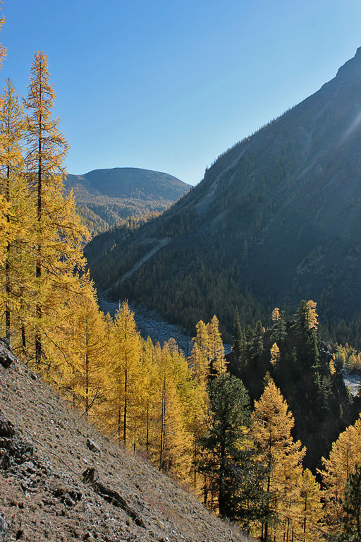 ������� ������