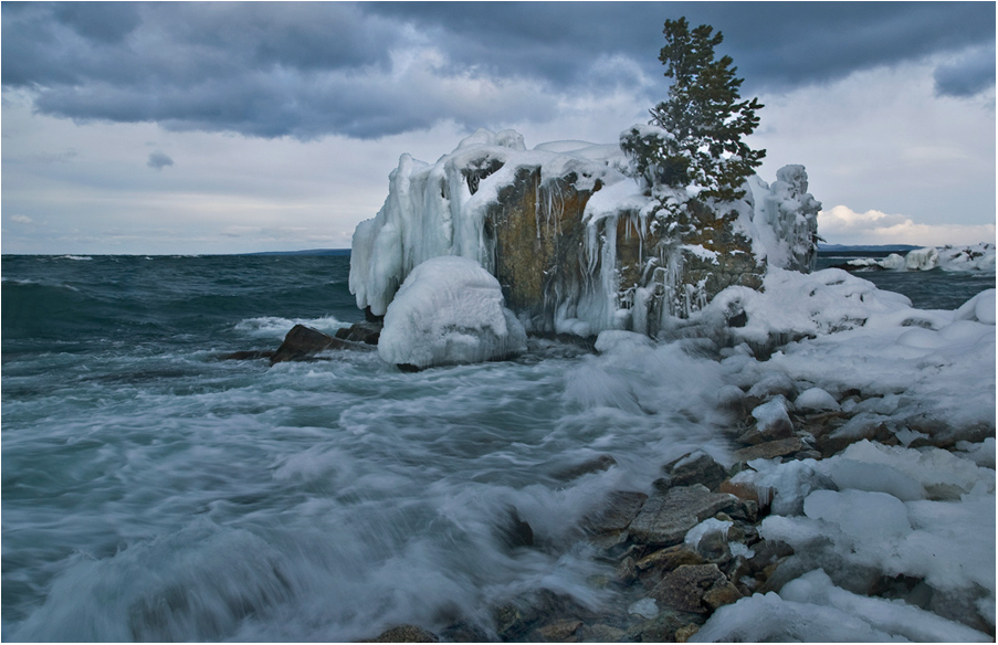 ���� �����