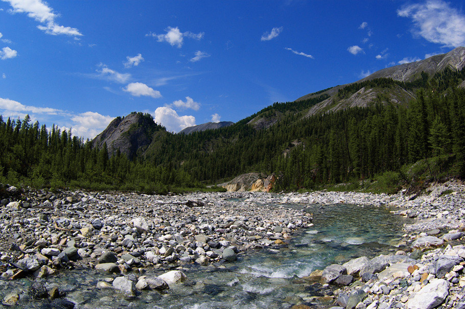 ������������� ��� ����-�����