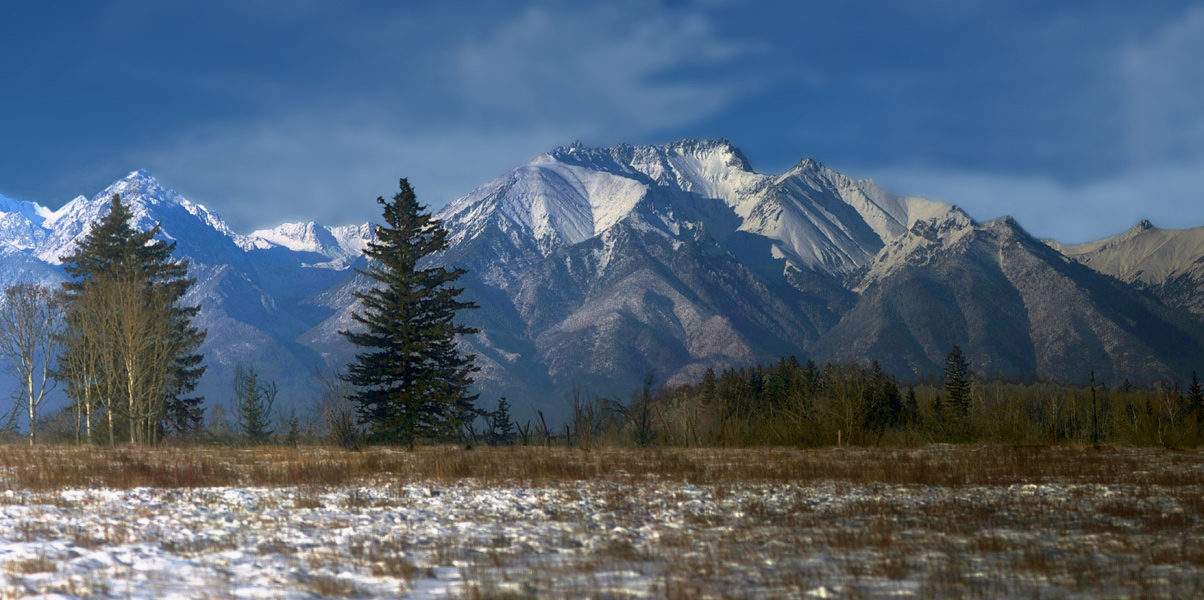 ���� � 2,5-������� ������������