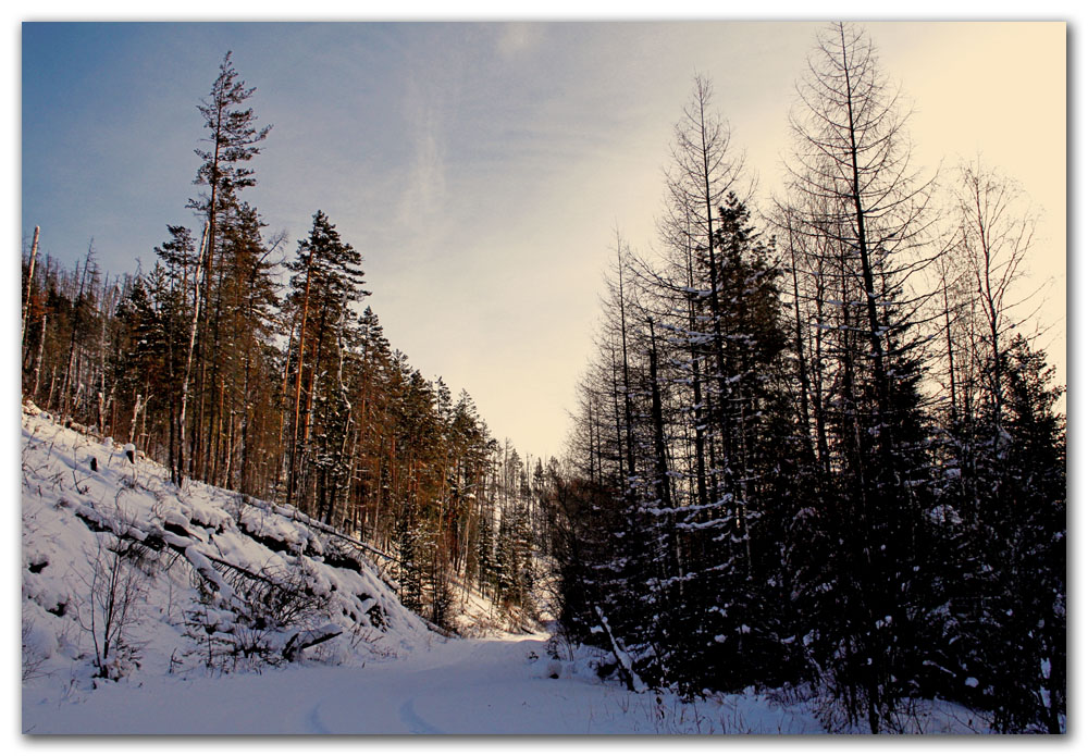 ������� ������ �����