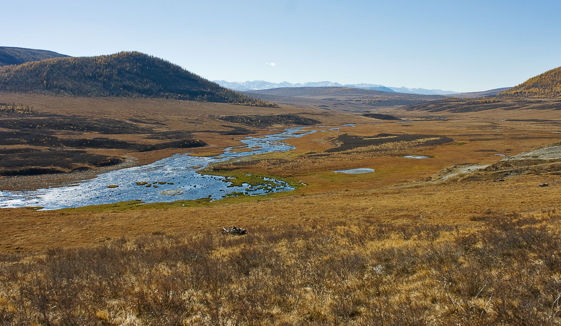 ������������ �����