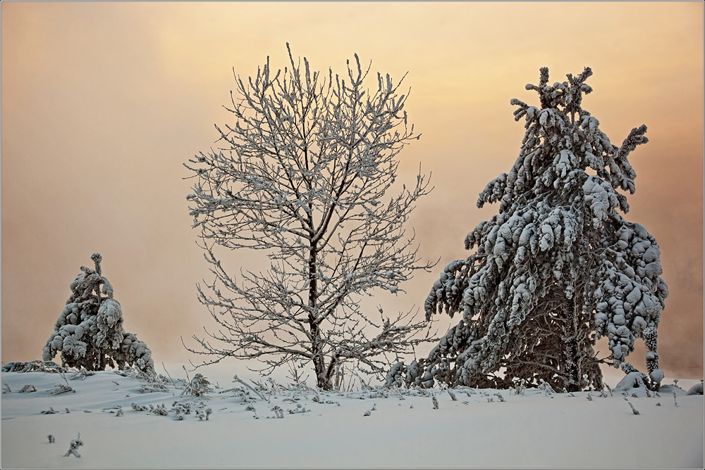 ������� � ����� � �����, � ���������� - ����� 