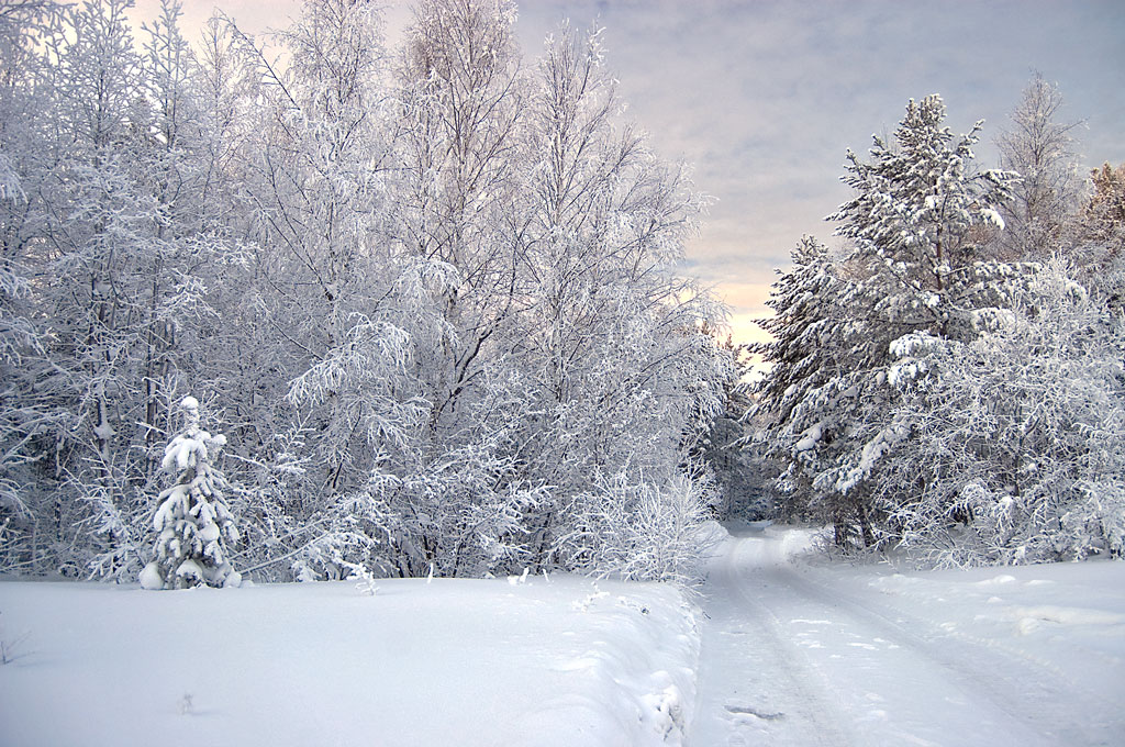 � ������ ���������...