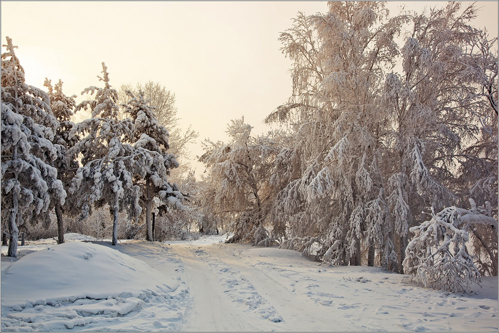 �����-��, ����������� �����!