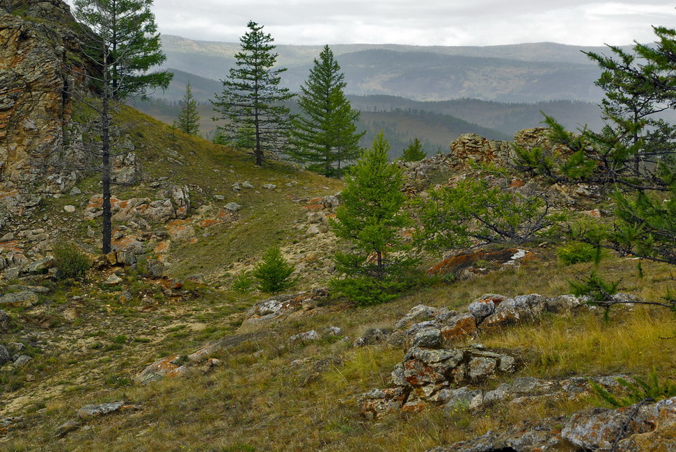 ������� ���������