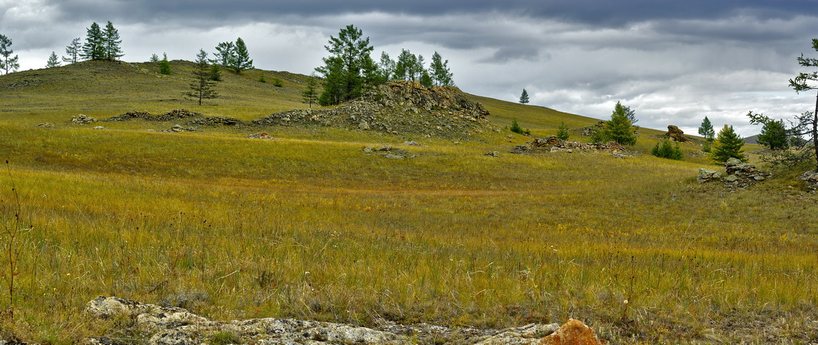 �� ����� "������� ���������".