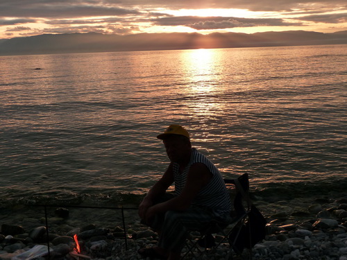 2009  .