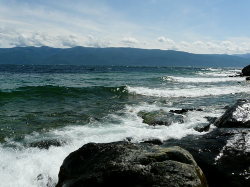 2009  .
