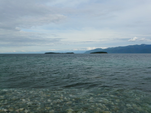 2009        .