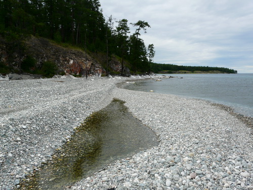 2009   .