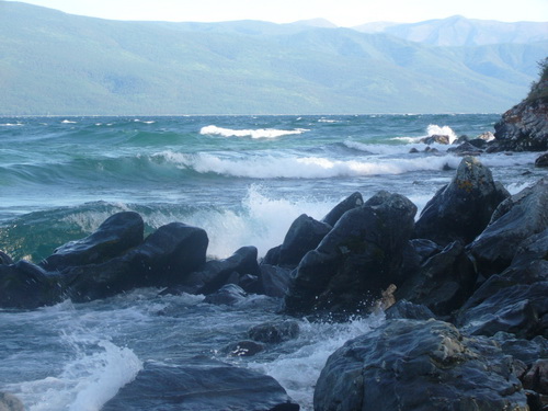 2009    .