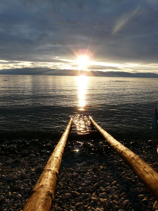 2009   