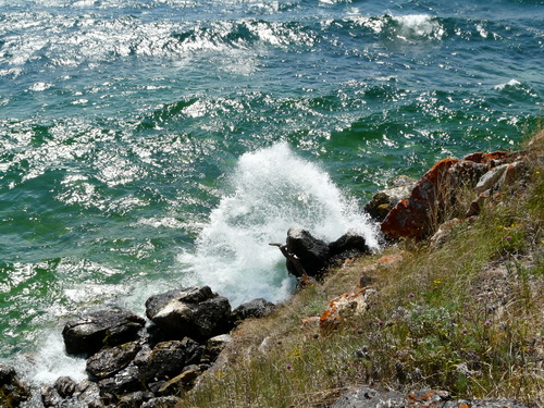 2009    
