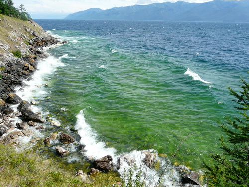 2009   