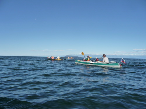 2010   .