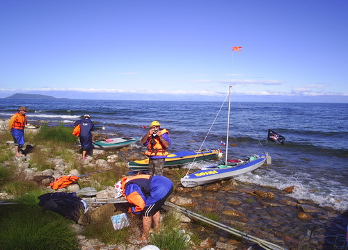 2010   .